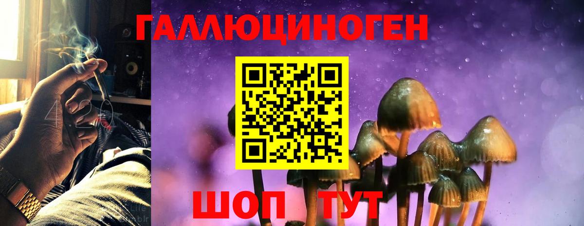 Котлас  Псилоцибиновые грибы Cubensis  Вход с VPN 